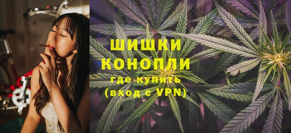 PSILOCYBIN Абаза