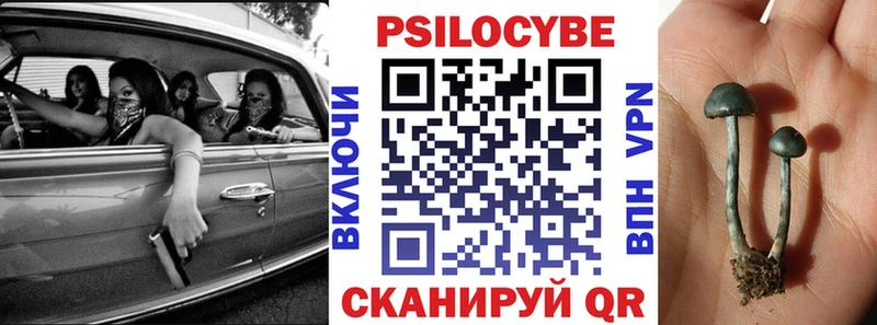 Псилоцибиновые грибы GOLDEN TEACHER Мамадыш